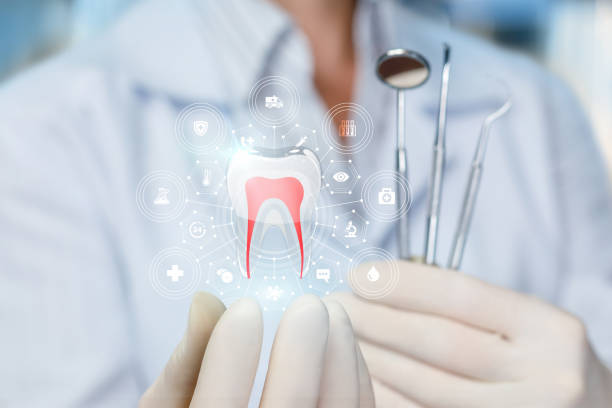 Trusted Horace, ND  Holistic Dental Services Experts
